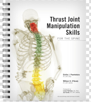 Thrust Joint Manipulation Skills For The Spine   Thrust Joint Manipulation  HD Png Download