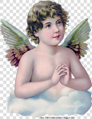 Praying Child Angel Scrap   Fairy  HD Png Download