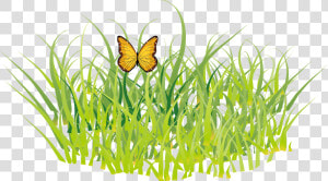 Butterfly Grass Gis   Golf Free Clipart  HD Png Download