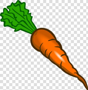 Carrot Food Vegetable Clip Art   Carrot Clipart Png  Transparent Png