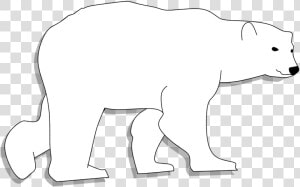 Bear Animal Head Animal Free Photo   Polar Bear  HD Png Download