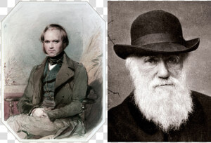 Darwin   Charles Darwin  HD Png Download