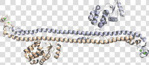 Crystal Structure Of The Trim5α Hiv 1 Restriction Factor  HD Png Download