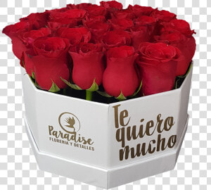 Caja De Rosa Roja C 19   Garden Roses  HD Png Download