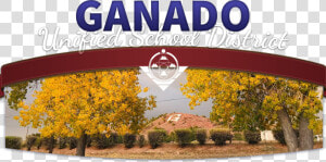 Ganado Unified School District   Tree  HD Png Download