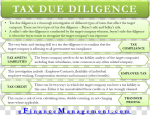 Tax Due Diligence   Different Types Of Student Loans  HD Png Download