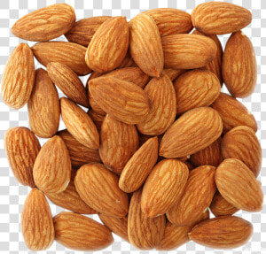 Almond Png  Download Png Image With Transparent Background    Transparent Background Almonds Png  Png Download