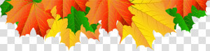 Clip Art Fall Tree Border Picture   Clip Art Autumn Leaves Border  HD Png Download