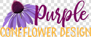 Purple Coneflower Design   Calligraphy  HD Png Download