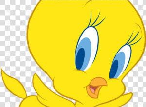 Tweety Bird Free Printable Coloring Pages Free And   Tweety Bird Background  HD Png Download