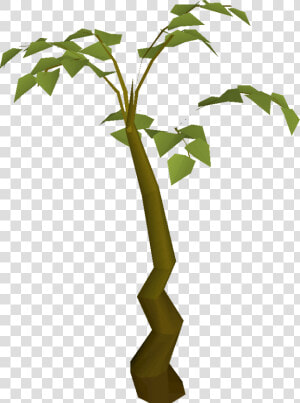 Transparent Children Planting Clipart   Tall Plant Clipart  HD Png Download