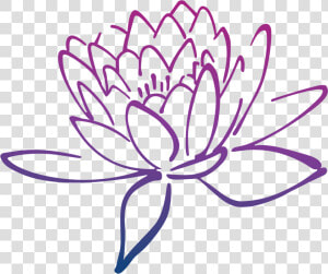  ranikhet Resorts The Brand   Brahma Kamal Flower Drawing  HD Png Download