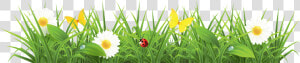 Cb Editing Grass Png Sample 2 Cb Editing Nature Png   Cartoon Grass Png  Transparent Png