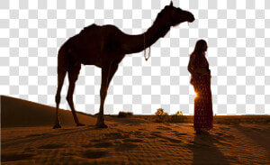 Transparent Camel Silhouette Png   Camel With Woman  Png Download