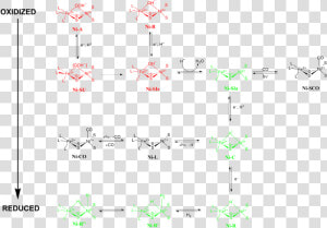 Nife Hydrogenase  HD Png Download