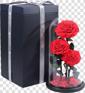 Wholesale Wedding Decoration Preserved Real Roses Flower   Garden Roses  HD Png Download