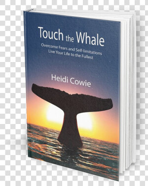 Book Cover For Heidi Cowie S Touch The Whale Showing   Killer Whale  HD Png Download