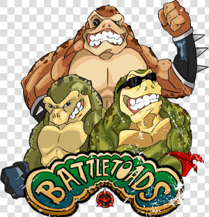 Battle Toads   Camiseta Battletoads  HD Png Download