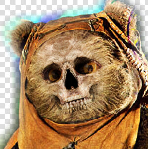 Funny Ewok  HD Png Download