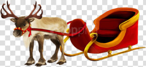 Christmas Reindeer Png   Reindeer And Sleigh Png  Transparent Png