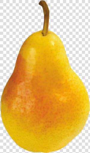 Pear Png Image   Груша Png  Transparent Png