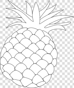 Pineapple  Outline  Food  Fruit  Health  Hawaii  Sweet   Pine Apple Outline Draw  HD Png Download