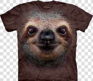 Sloth Face Png   Sloth Face Shirt  Transparent Png