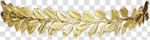  crown  gold  golden  leaf  head   Gold Leaf Crown Png  Transparent Png