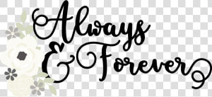 Always And Forever Png   Simple Stories Always  amp  Forever  Transparent Png