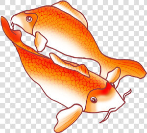 Two Fish Png   Orange Koi Fish Drawing  Transparent Png