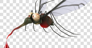 Transparent Mosquito Png   Mosquito Png  Png Download