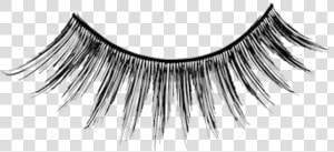 Kryolan Stage B3 False Eyelashes   Cil Png  Transparent Png