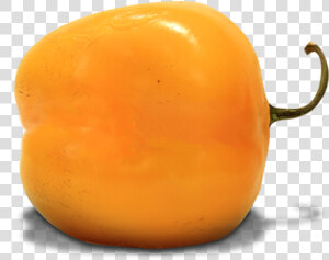 Persimmon  HD Png Download