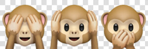  🙈🙉🙊 monkey  emoji  freetoedit   Monkey Covering Eyes Mouth Ears Emoji  HD Png Download