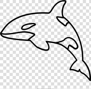 Full Size Of Coloring Book And Pages   Outline Of Killer Whale  HD Png Download