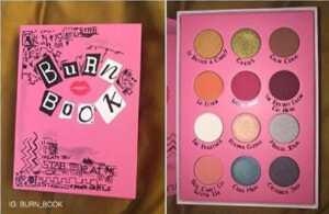 Mean Girls Burn Book Palette  HD Png Download