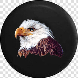 Jeep Liberty Spare Tire Cover With Bald Eagle Head   Close Up Bald Eagle  HD Png Download