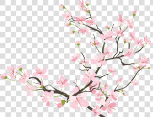 Cherry Blossom Tumblr At   Japanese Cherry Blossom Transparent  HD Png Download