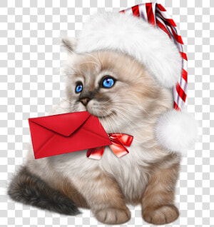 Tube Noël   Ragdoll Kittens Clipart  HD Png Download