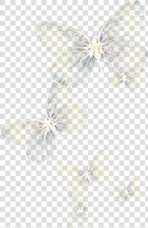  ftestickers  butterflies  light  glowing   Transparent Background Yellow Flying Butterfly  HD Png Download