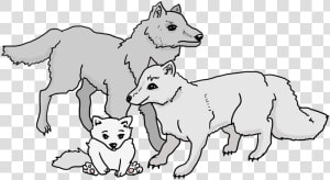 Wolves  Wolf Pack  Wolf  Cub  Family  Beast  Animals   Pack Of Wolves Cartoon  HD Png Download