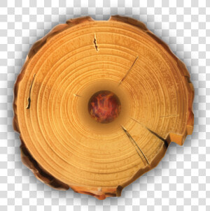 Timber Tote Log Top View   Log Top View Png  Transparent Png