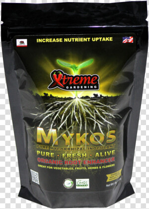 Mykos Mycorrhizae  HD Png Download