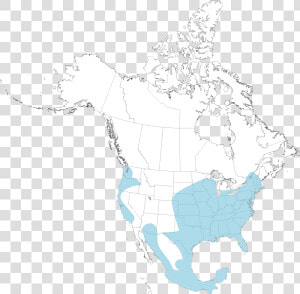 Opossum Map   North America Map Png  Transparent Png