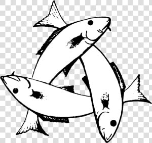 Transparent Christian Fish Clipart   Three Fish Symbol Meaning  HD Png Download