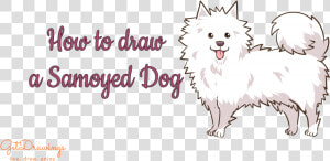 German Spitz Mittel  HD Png Download