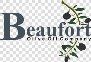 Beaufort Olive Oil Logo Web   Graphic Design  HD Png Download