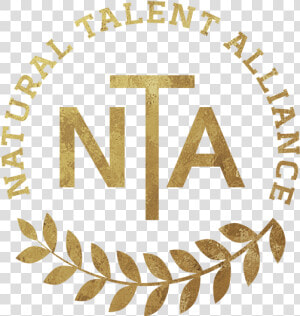 Natural Talent Agency   College Softball  HD Png Download