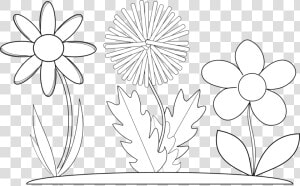 Black And White Flower Border Clipart Flower Black   Gambar Bunga Untuk Buku Gambar  HD Png Download