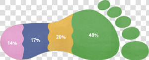 Graph Of Causes Of Vancouver S Ecological Footprint   Ecology Footprint  HD Png Download